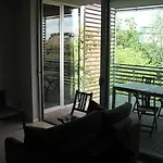 Delfina 3* ريميني
